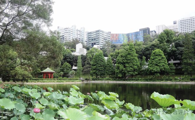 2025年香港中文大学内地本科报考常见答疑汇总！你想知道的都在这里！